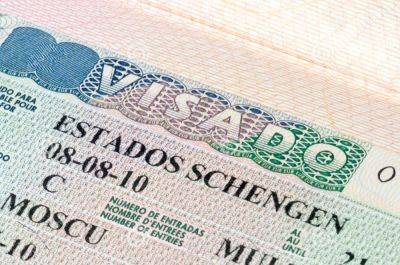 Фернандо Гранд Марласка - Европейский Союз разрабатывает процедуру подачи заявления на получение шенгенской визы онлайн - espanarusa.com - Испания - Евросоюз - Марласк