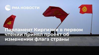 Парламент Киргизии в первом чтении принял законопроект об изменении флага страны - ria.ru - Россия - Испания - Сша - Киргизия - Бишкек
