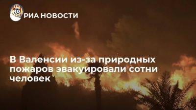 В испанской Валенсии из-за природных пожаров эвакуировали 850 человек - ria.ru - Испания - Франция - Мадрид - Москва - Голландия - Германия