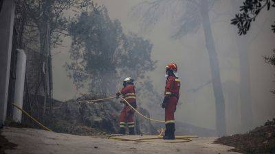 В Испании из-за лесного пожара эвакуировали более 800 человек - russian.rt.com - Россия - Испания