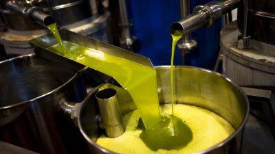 Производство оливкового масла падает, а цена на него растёт - ru.euronews.com - Италия - Испания - Франция - Португалия - Сша - Греция - Евросоюз
