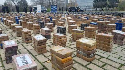 В Испании нашли 11 тонн кокаина в контейнерах с тунцом - noticia.ru - Испания