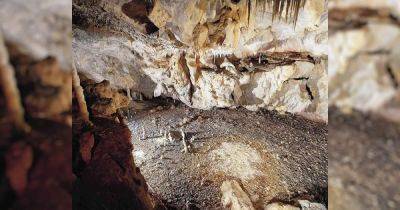 В гости в палеолит. В Испании нашли идеально сохранившуюся пещеру, где жили древние люди - focus.ua - Украина - Испания - Spain