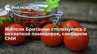 Daily Telegraph: жители Британии столкнулись с нехваткой помидоров из-за низкого урожая - ria.ru - Украина - Испания - Англия - Москва - Голландия - Марокко