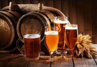 Испания за год производит более 41 млн галлонов пива - catalunya.ru - Испания - Евросоюз - Германия - Польша