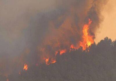 Педро Санчес - Пожарные Испании до сих пор не могут справиться с первым лесным пожаром - unn.com.ua - Украина - Испания - Киев