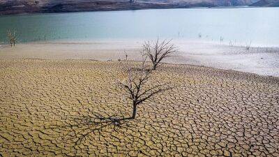 Засуха на северо-востоке Испании опустошает водохранилища - ru.euronews.com - Испания - Барселоны