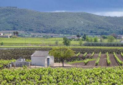 В Вилафранка дель Пенедес открыт новый винный маршрут - catalunya.ru - Испания