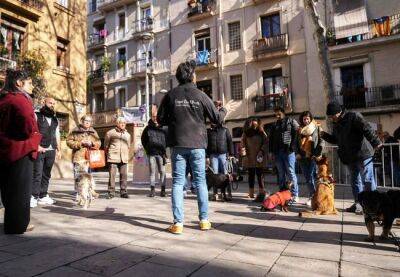 Бесплатные мастер-классы по дрессировке собак пройдут в Барселоне - catalunya.ru - Испания