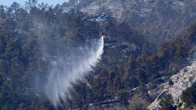 Педро Санчес - Испания: лесные пожары в Кастельоне взяты под контроль - ru.euronews.com - Испания - Евросоюз