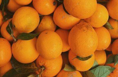 Варенье из барселонских апельсинов - espanarusa.com - Испания