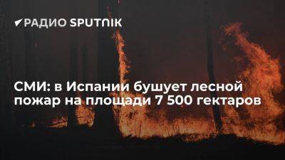 Тереза Рибера - СМИ: более 500 человек эвакуированы из-за крупного лесного пожара в Испании - ria.ru - Испания - Москва
