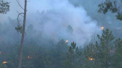Лесной пожар в Испании: эвакуировано более 700 человек - ru.euronews.com - Испания
