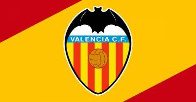 Винисиус Жуниор - Валенсия пожизненно отстранит фанатов, которые оскорбляли Винисиуса - terrikon.com - Испания - Мадрид - Валенсия - Реал Мадрид