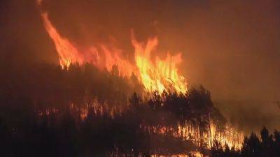 Педро Санчес - На севере Испании бушуют лесные пожары - ru.euronews.com - Испания - Евросоюз - Сарагоса
