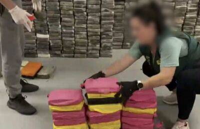 Колумбийцы наладили поставки в Испанию физалиса с кокаином - noticia.ru - Испания - Мадрид