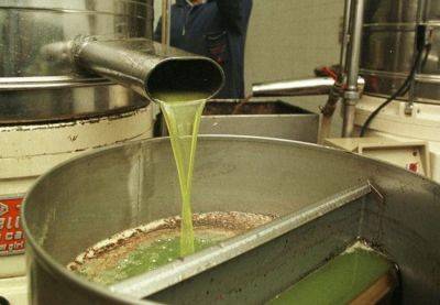 Отработанное растительное масло в Испании будут использовать для производства топлива - catalunya.ru - Испания