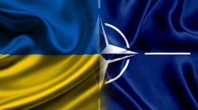 Владимир Зеленский - Педро Санчес - Испания стала 21 страной, поддержавшей членство Украины в НАТО - ru.slovoidilo.ua - Украина - Испания - Киев