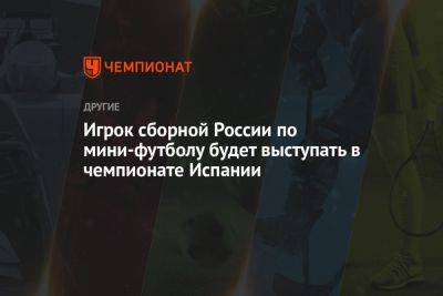 Игрок сборной России по мини-футболу будет выступать в чемпионате Испании - championat.com - Россия - Испания - Москва