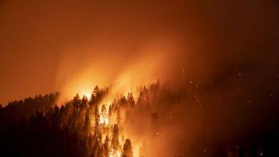 El Pais - На Канарах эвакуировали свыше 2 тысяч человек из-за лесного пожара - russian.rt.com - Испания - Канада