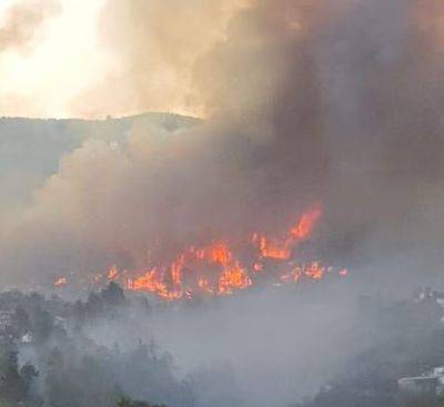 Фернандо Клавихо - Лесные пожары в Испании вызваны жарой: по меньшей мере 2 000 человек эвакуированы - unn.com.ua - Украина - Италия - Испания - Киев