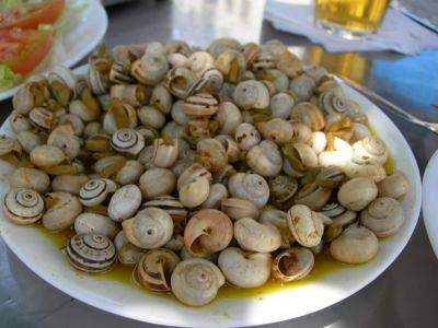 Самые странные продукты, которые едят в Испании - espanarusa.com - Испания - Мадрид