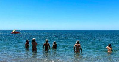 У каталонских нудистов проблема: к ним зачастили туристы в купальниках - noticia.ru