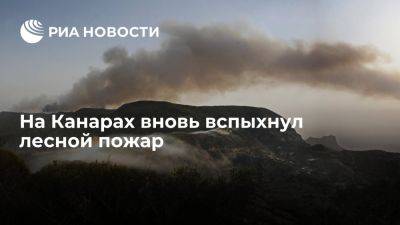 На острове Тенерифе жителей эвакуируют из-за лесного пожара - ria.ru - Испания - Мадрид - Тенерифе