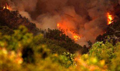 Пожар на Тенерифе остается неконтролируемым: огонь охватил территорию в 22 км - allspain.info - Испания - Santa