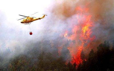Фернандо Клавихо - Пожар на Тенерифе по-прежнему не поддается контролю и уже охватил 2600 гектаров - allspain.info - Испания