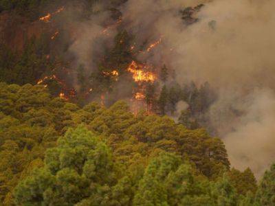 Фернандо Клавихо - Лесной пожар на Тенерифе в Испании вышел из-под контроля - unn.com.ua - Украина - Испания - Киев