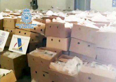 В Испании полиция нашла в коробках с бананами 9,5 тонн кокаина - vinegret.cz - Испания - Эквадор - Чехия - Альхесирас - Амстердам