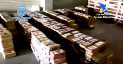 В Испании изъяли рекордную партию кокаина, спрятанную в коробках с бананами (видео) - focus.ua - Украина - Испания - Эквадор - Альхесирас