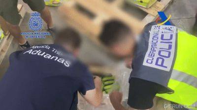 Испанская полиция нашла почти 10 тонн кокаина в бананах - noticia.ru - Испания