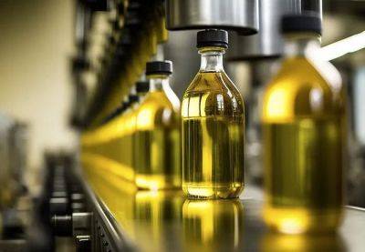 Засушливая погода Испании стала причиной сокращения производства оливкового масла - catalunya.ru - Россия - Испания - Евросоюз