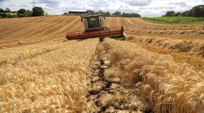 Испания и Франция раскритиковали продление тремя странами ЕС запрета на импорт зерна из Украины - ru.slovoidilo.ua - Украина - Россия - Испания - Франция - Словакия - Венгрия - Польша