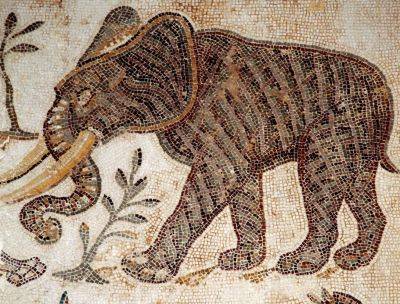 В Испании нашли останки боевого слона, которым 2000 лет - фото - apostrophe.ua - Украина - Испания - Римская Империя