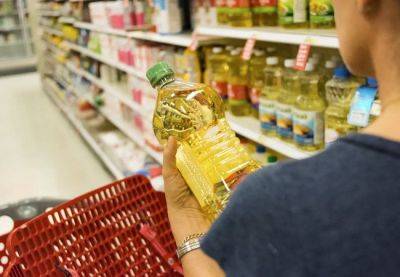 Продажи оливкового масла в Испании упали на 18% - catalunya.ru - Испания