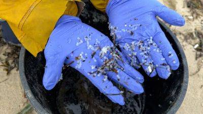 Испания: пляжи Галисии очищают от микропластика - ru.euronews.com - Испания