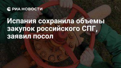 Юрий Клименко - Клименко: Испания сохранила закупки российского СПГ на уровне прошлого года - ria.ru - Украина - Россия - Испания - Мадрид - Евросоюз - Алжир