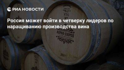 Россия нарастит производство вина до 470 миллионов литров в 2024 году - ria.ru - Россия - Италия - Испания - Франция - Москва - Грузия - Швейцария - Бразилия - Аргентина - Венгрия - Чехия - Новая Зеландия