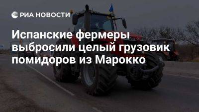 Луис Планас - Ideal: испанские фермеры выбросили целый грузовик помидоров из Марокко - ria.ru - Испания - Франция - Мадрид - Марокко - Евросоюз - Таррагоны