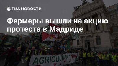 Луис Планас - Испанские фермеры вышли на акцию протеста у министерства сельского хозяйства - ria.ru - Испания - Мадрид - Евросоюз