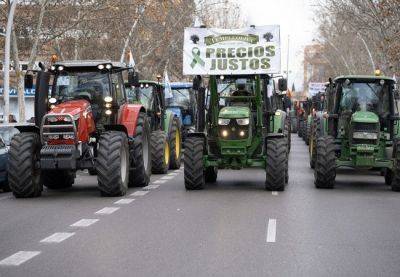 Фермеры в Испании планируют провести масштабную забастовку 6 февраля - catalunya.ru - Испания