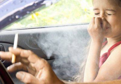 Гарсия Моник - В Испании введут запрет на курение в автомобилях с детьми - catalunya.ru - Испания