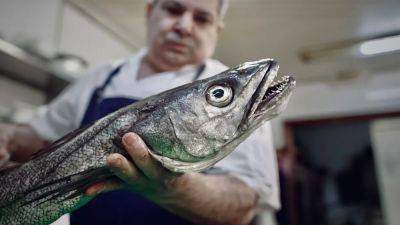 Хек выплыл: в Атлантике спасли популяцию рыбы, на очереди - Средиземное море - ru.euronews.com - Испания