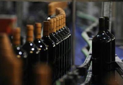 В Испании ожидается уменьшение объемов производства вина на 20% из-за засухи - catalunya.ru - Испания - Франция - Англия